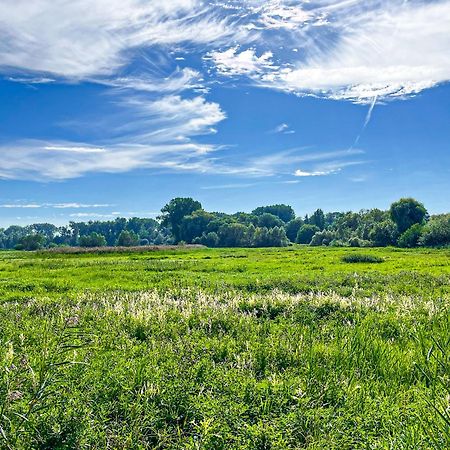Haffblick Wohnung 20 Boltenhagen  Buitenkant foto