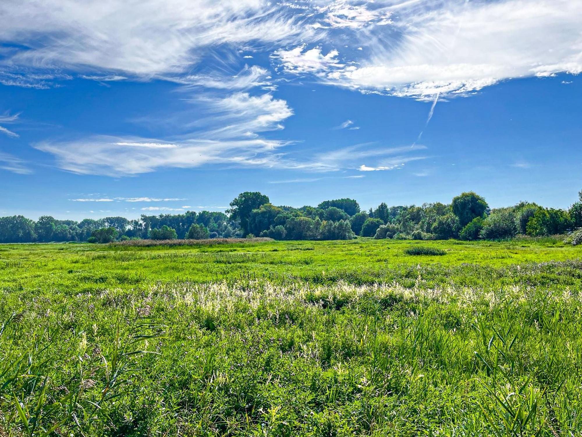 Haffblick Wohnung 20 Boltenhagen  Buitenkant foto